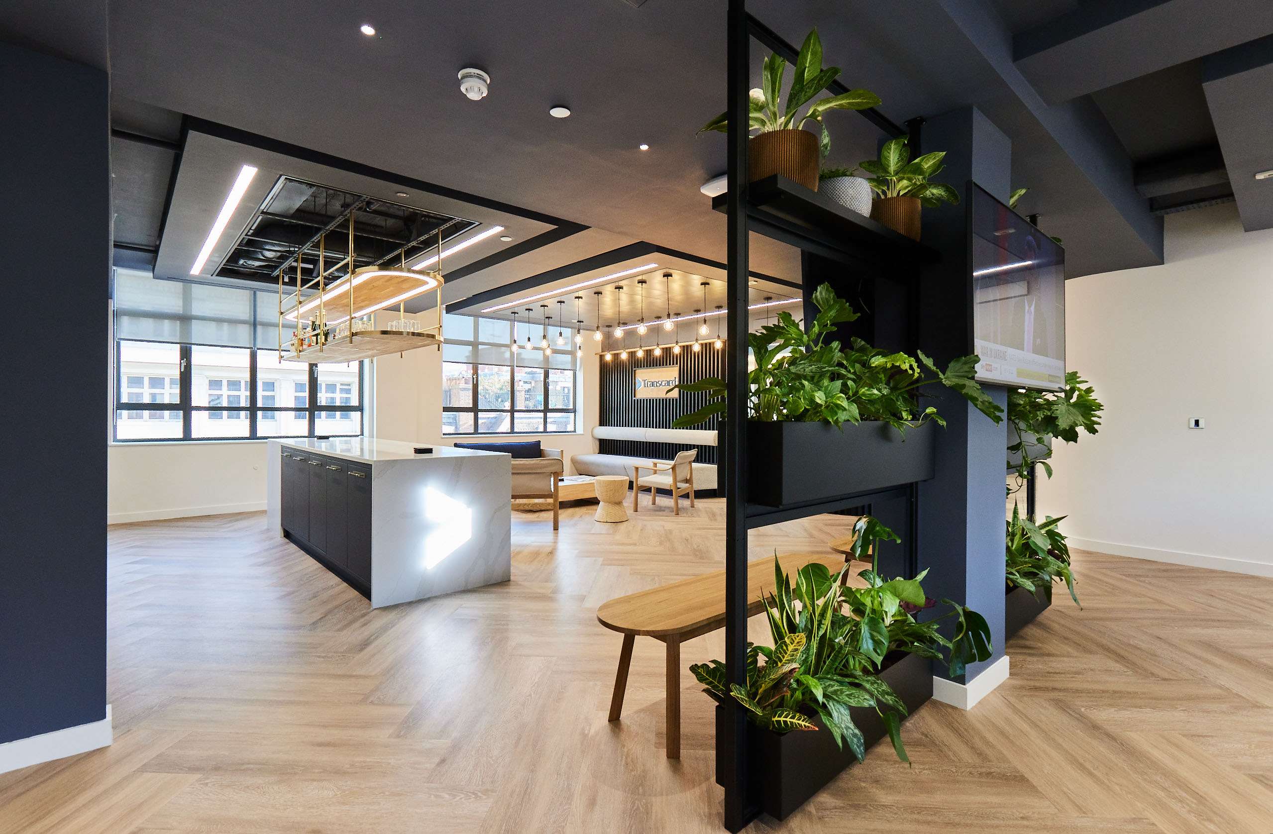 kitchen-and-plants.jpg